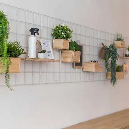 Ruim En Warm In De Winkelstraat Daire *